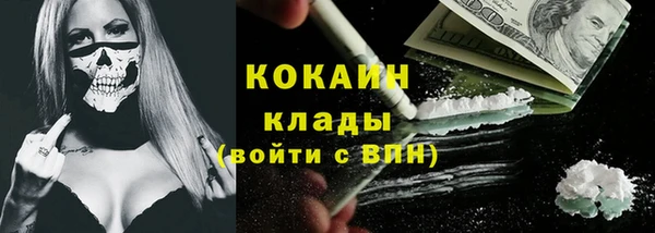 ПСИЛОЦИБИНОВЫЕ ГРИБЫ Дмитров