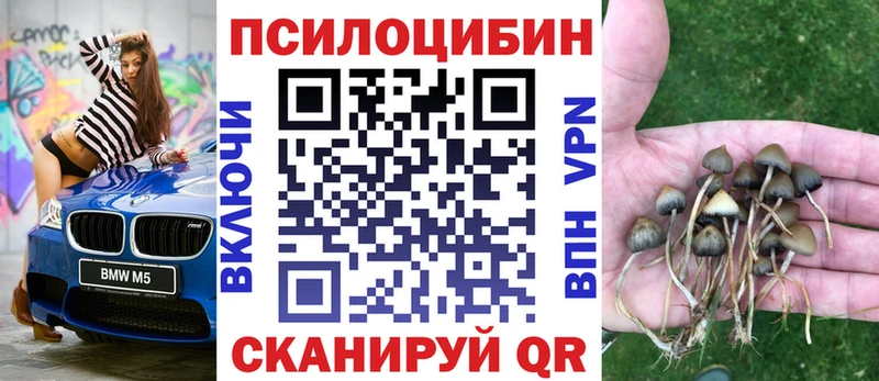 сколько стоит  Черкесск  МЕГА зеркало  Галлюциногенные грибы Psilocybe 