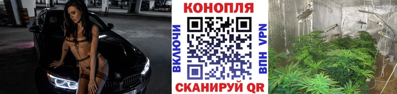 Каннабис тримм  Черкесск 